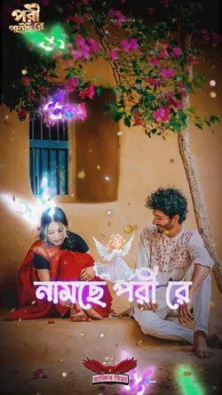 আমি যত দেখি