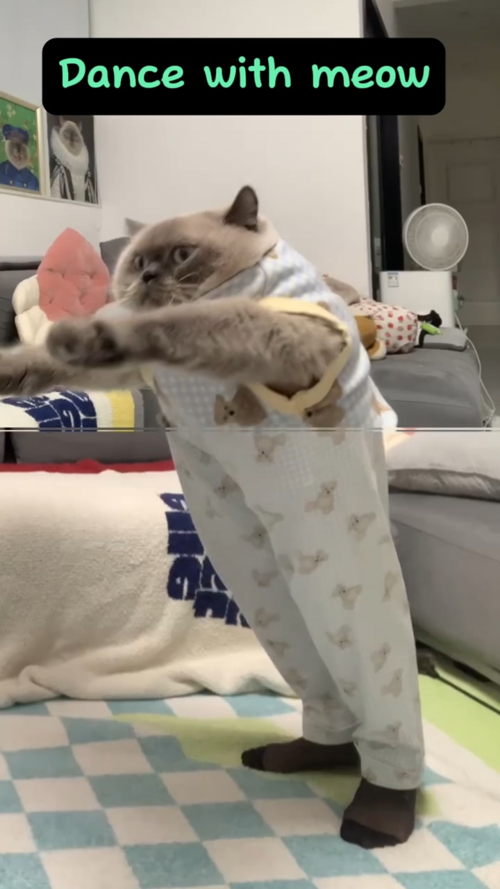 dance with meow