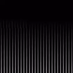 JOYRIDE⚡️🎀😍