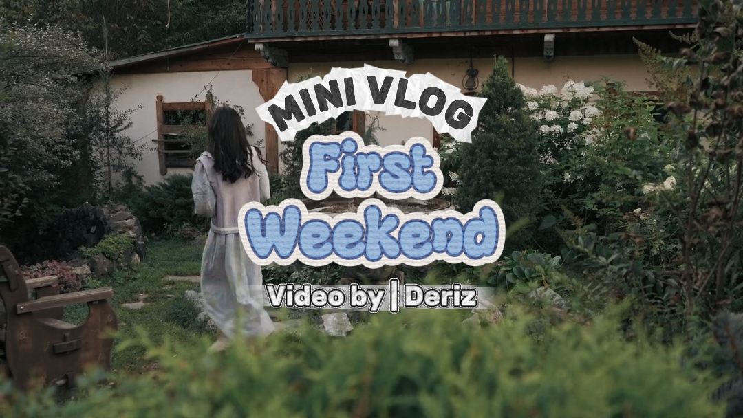 Mini vlog