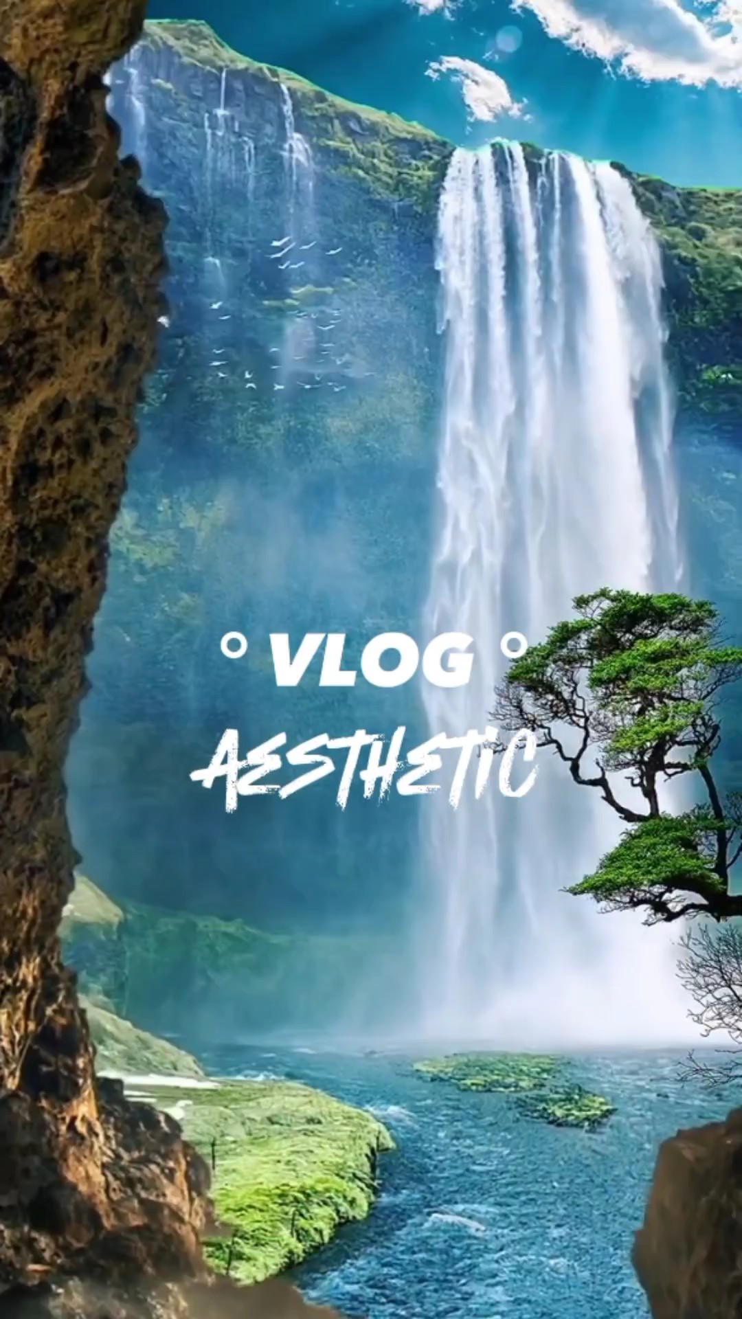 Vlog Estética