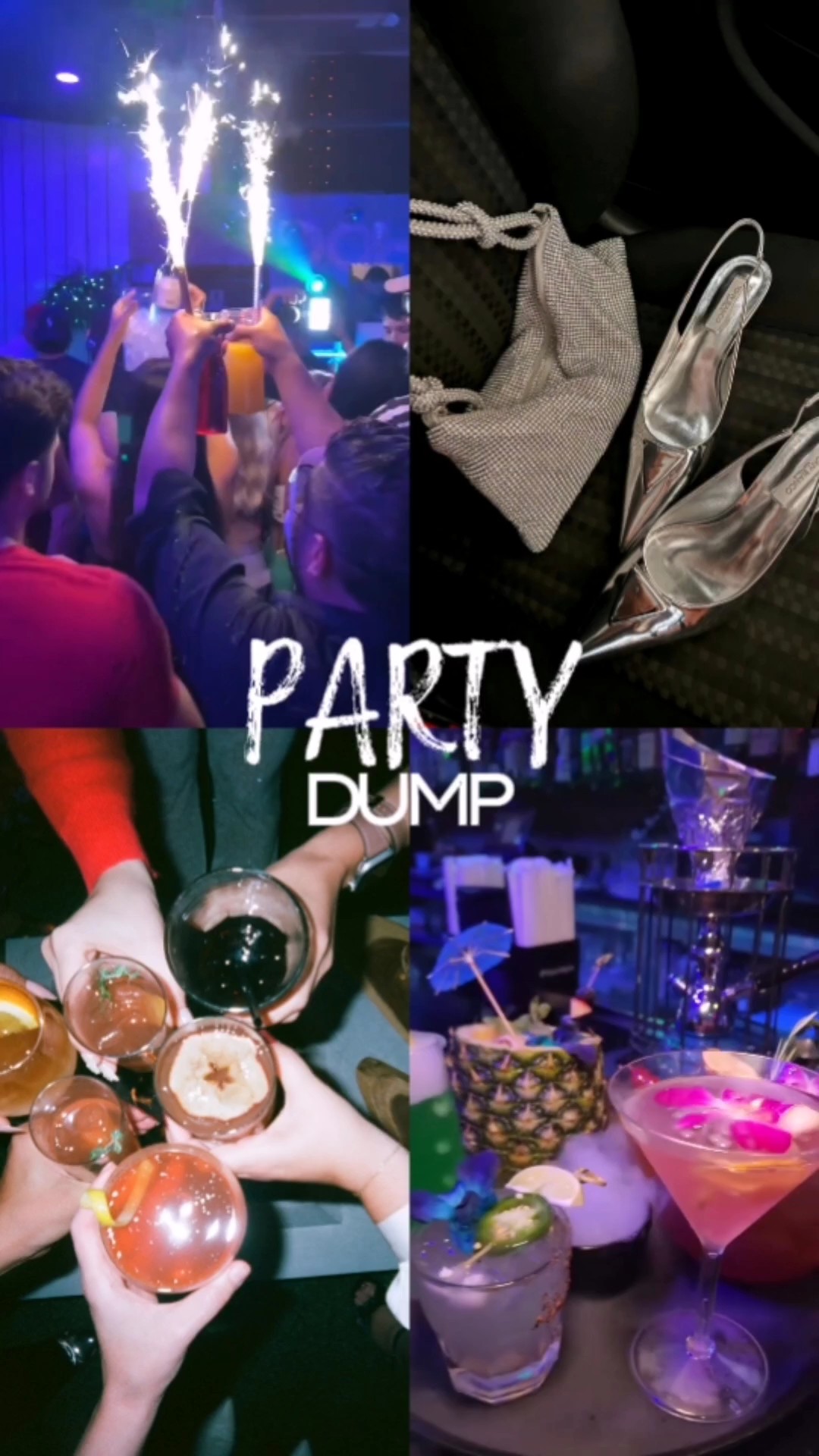 PARTY DUMP