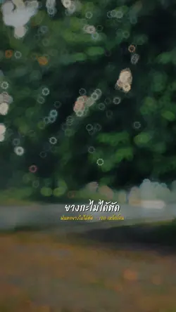 ฝนตกยางไม่ได้ตัด 