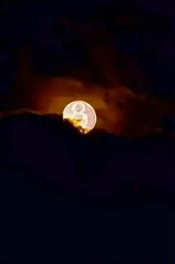 REDHORSE REDMOON