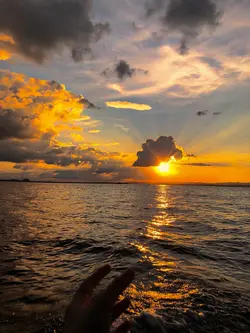Filter senja