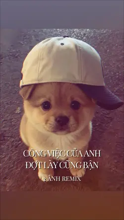 [2] công việc của an