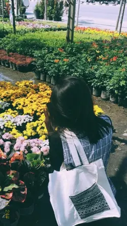 wild flowers