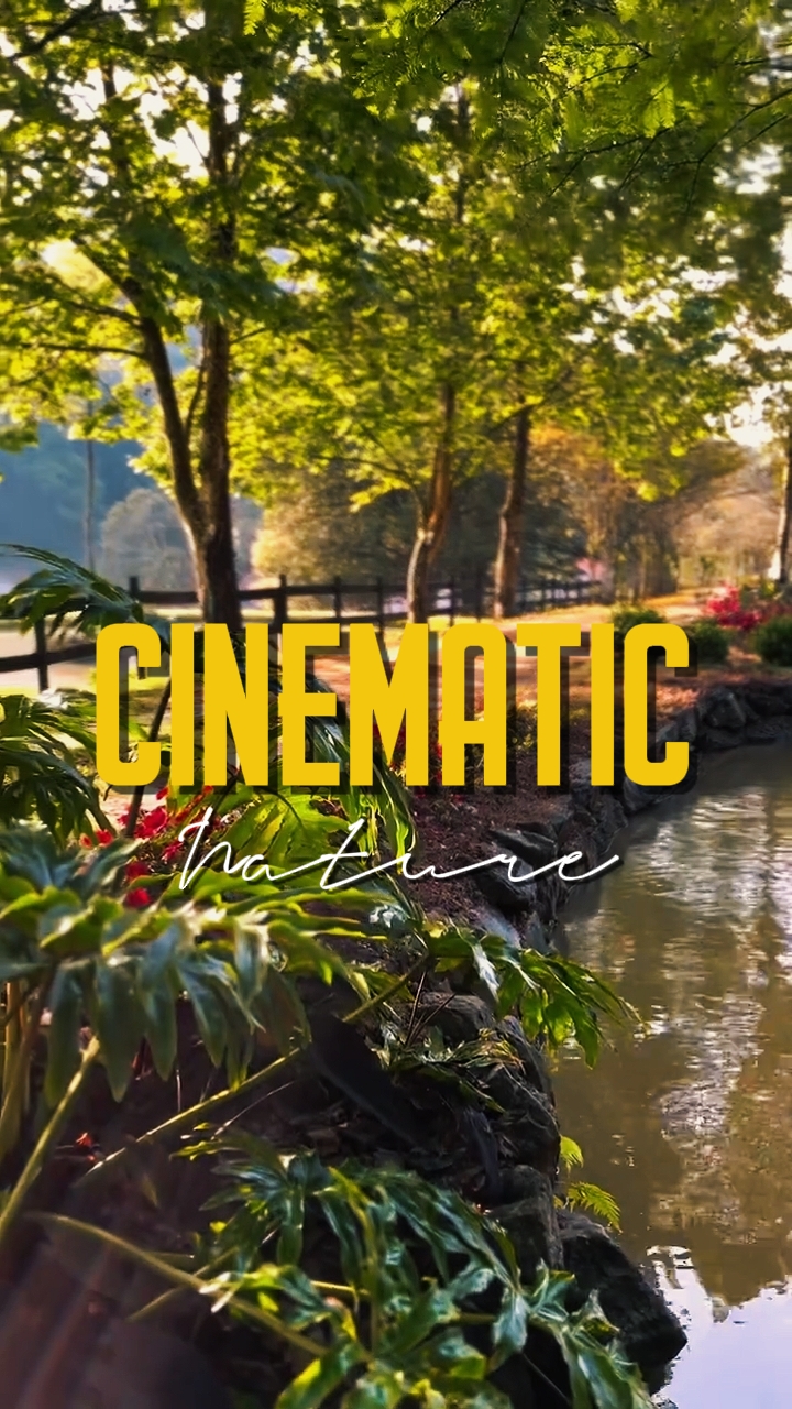 CINEMATIC VIDEO 