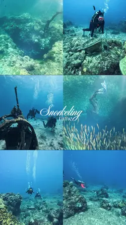 snorkeling 