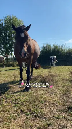 Je t’ai dis jtm…💗