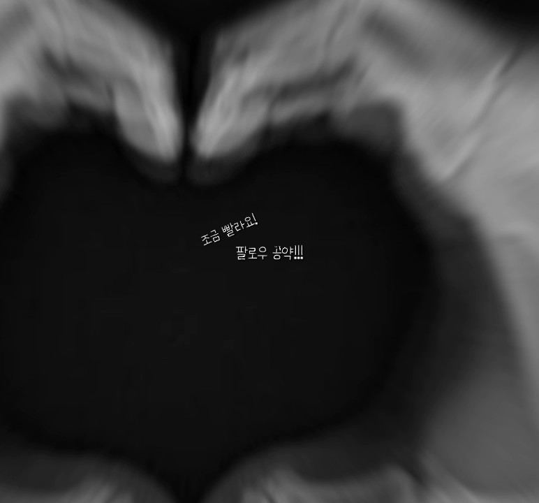 팔로워 공약