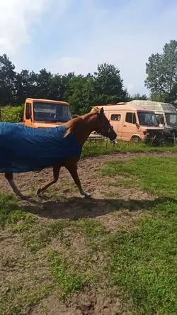 Lüge!