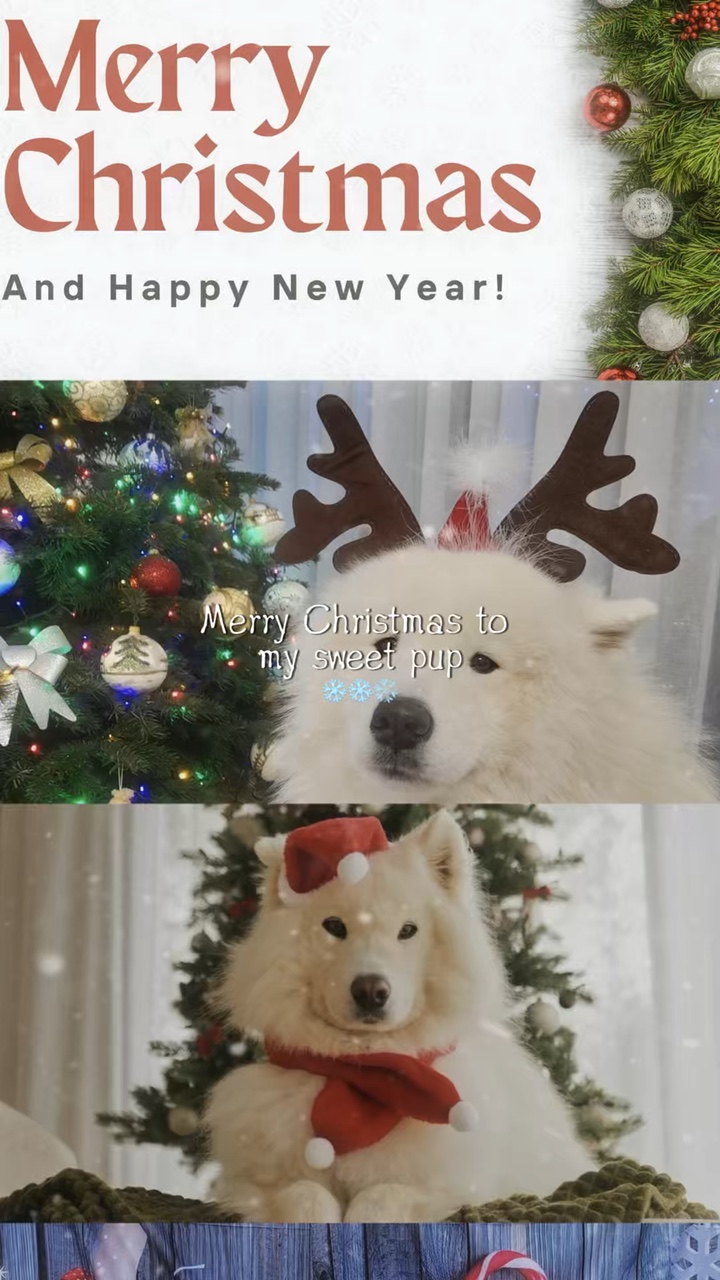 Frohe Weihnachten, Hund