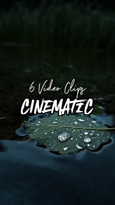 6 videoclips 