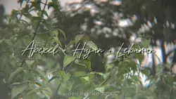 Apexel Trend 1 video