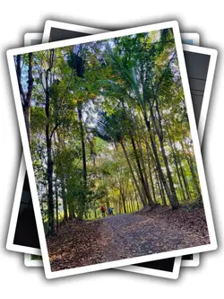 25PicClip Transition