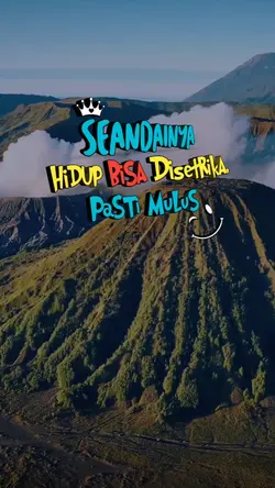 bisa disetrika