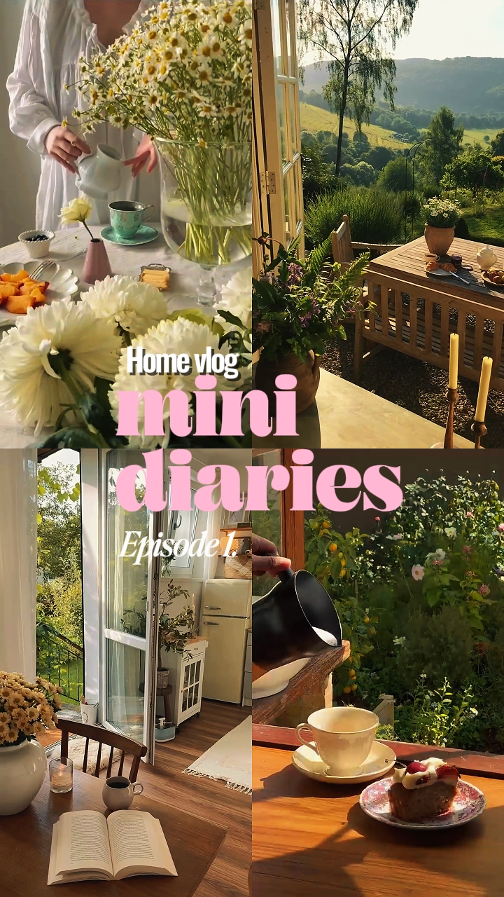 mini diaries