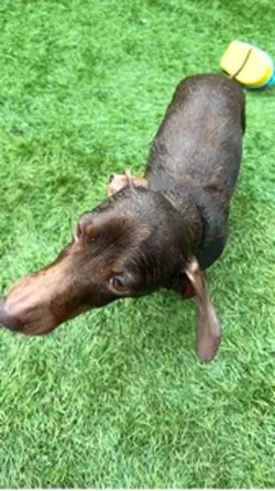Bath time