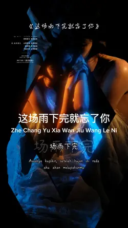 这场雨下完就忘了你