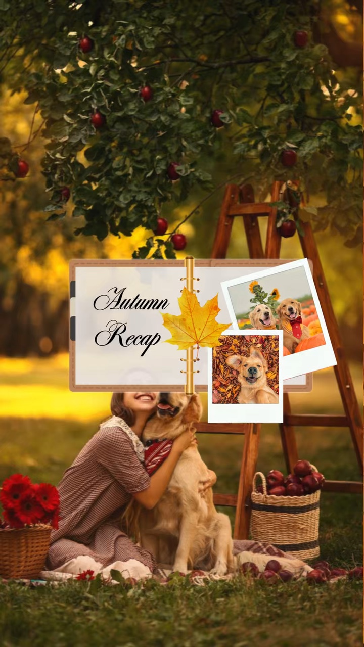 Herbst Zusammenfassung Hund ver