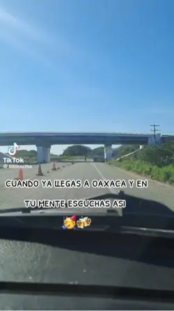 Oaxaca y Chiapas 