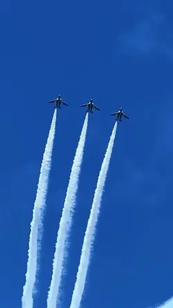 Airplane Pilot