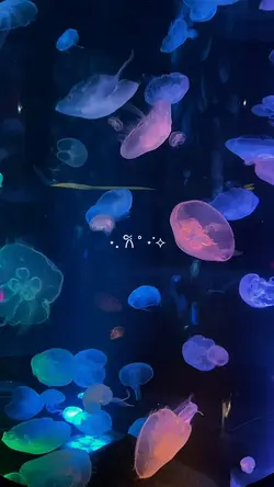 aquarium vlog