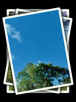 9Pic Trend Aesthetic