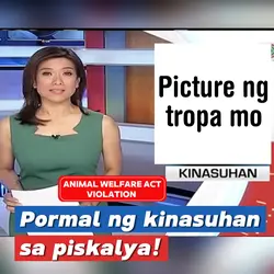 KAWAWA YUNG BAKA