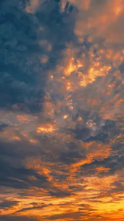 filter senja