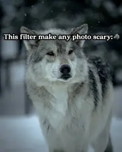 scary