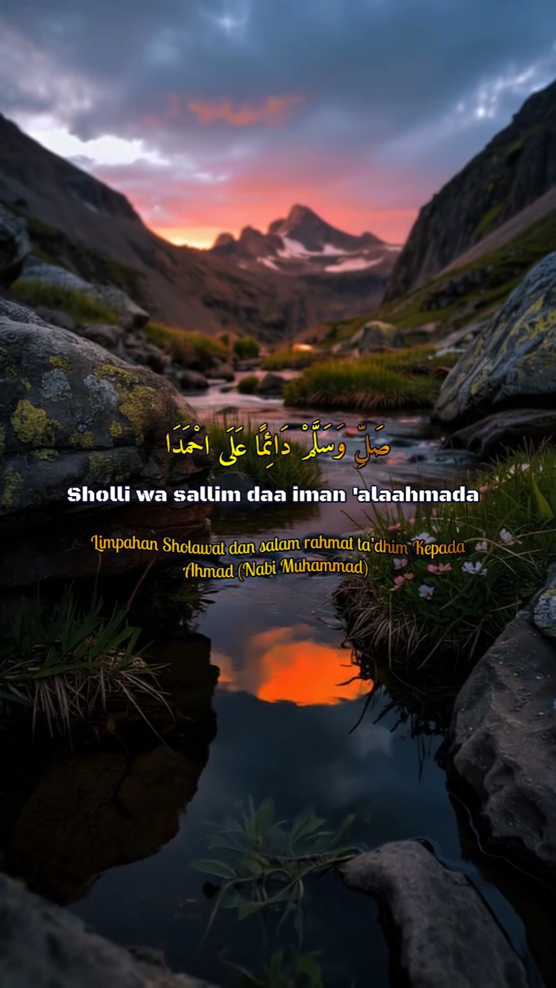 Sholi wasalimda 