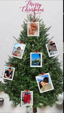Árvore de natal 