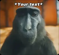 Monkey rizz
