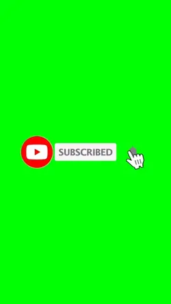 Youtube subscribed 