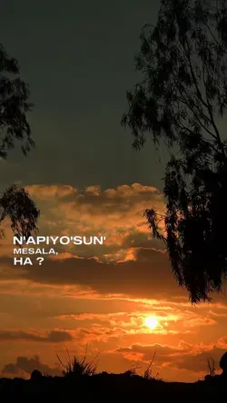 Napıyorsun mesela 