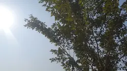 Farming Vlog