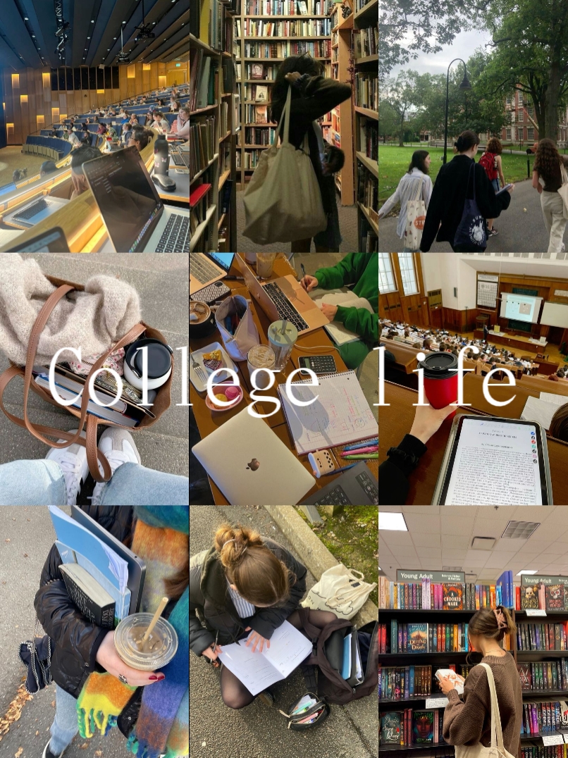 Vie universitaire