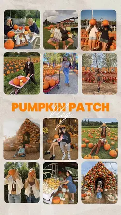 Pumpkin patch 2025