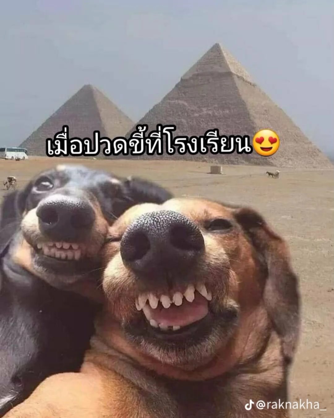 เพื่อนแท้