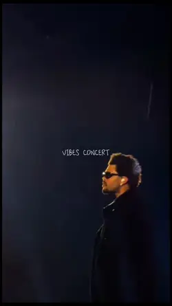 VIBES Concert