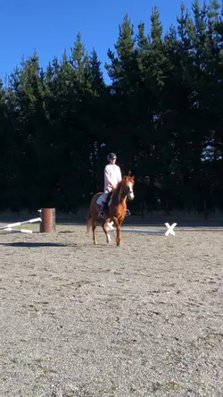 Look like a P ⭐️ 