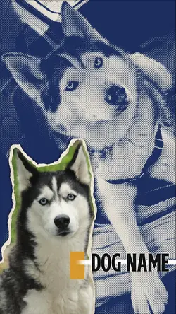 DOG NAME