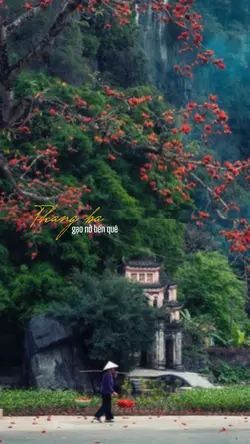 Tháng 3 hoa gạo