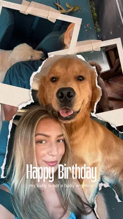 Dog Birthday ❤️