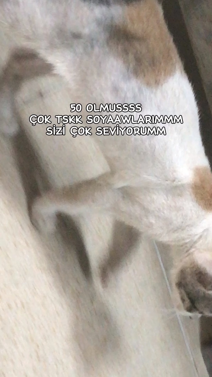 CUSS 50 Mİİ!!!