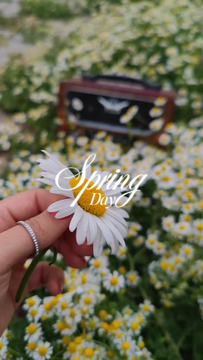 Día de Primavera