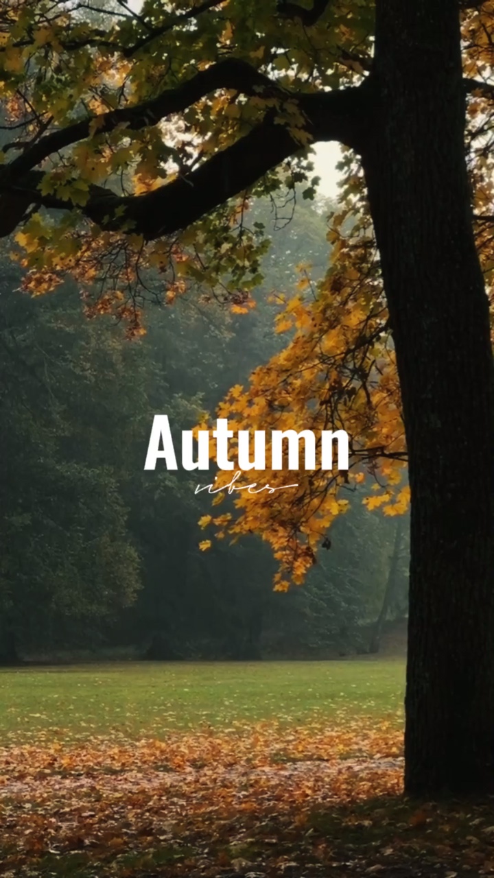 ambiance d'automne