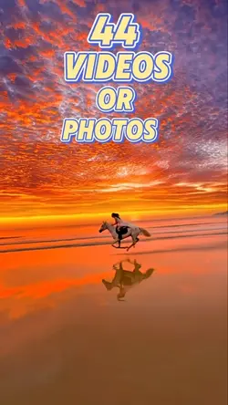 44 new template 2025